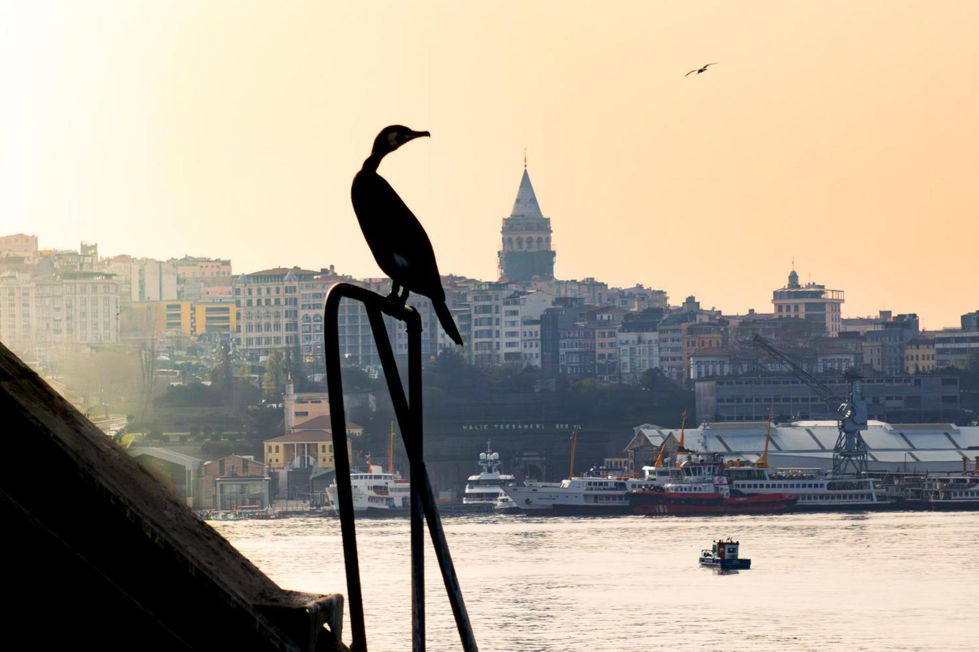 Hotel Rixos Tersane Istanbul Exterior foto